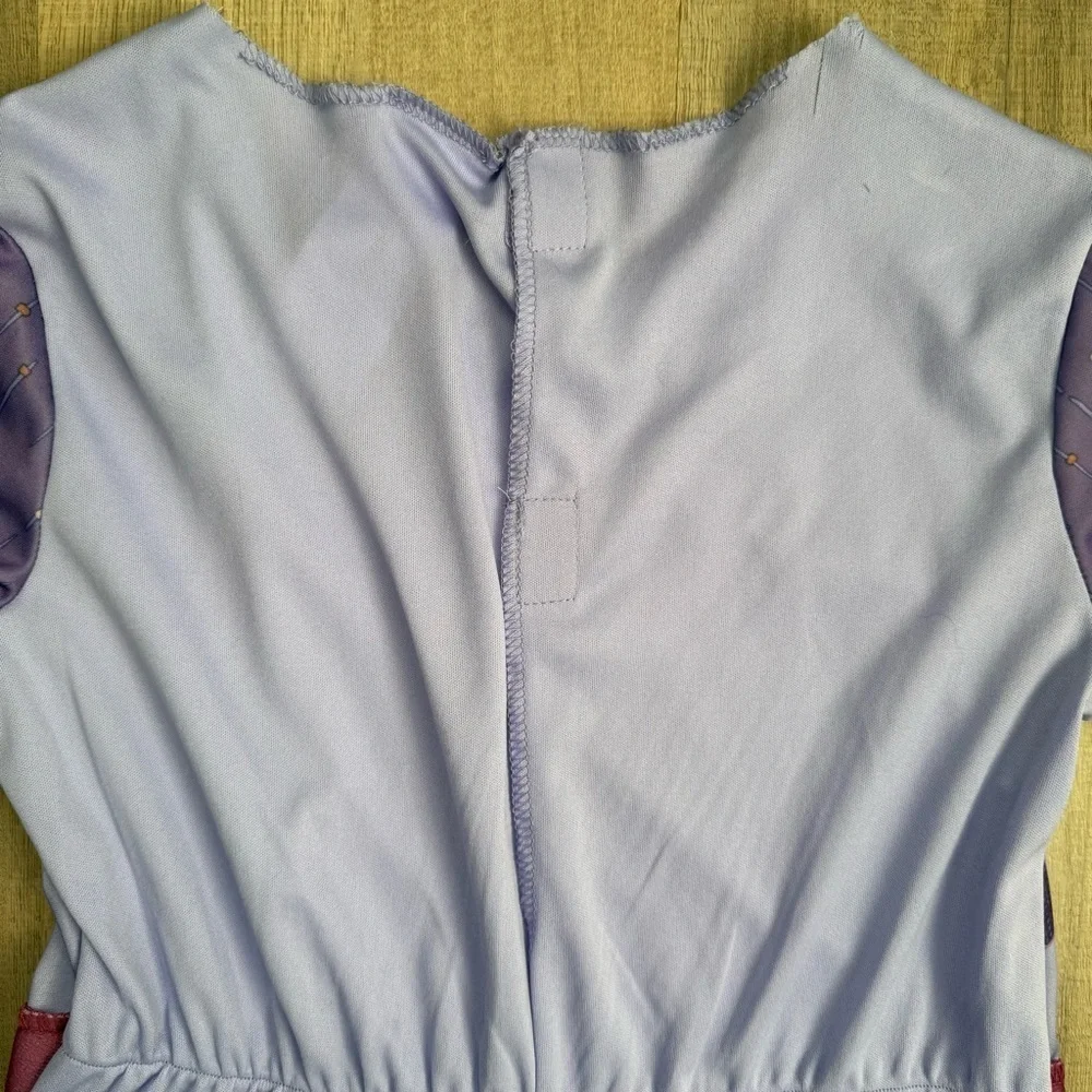 Disney wish costume